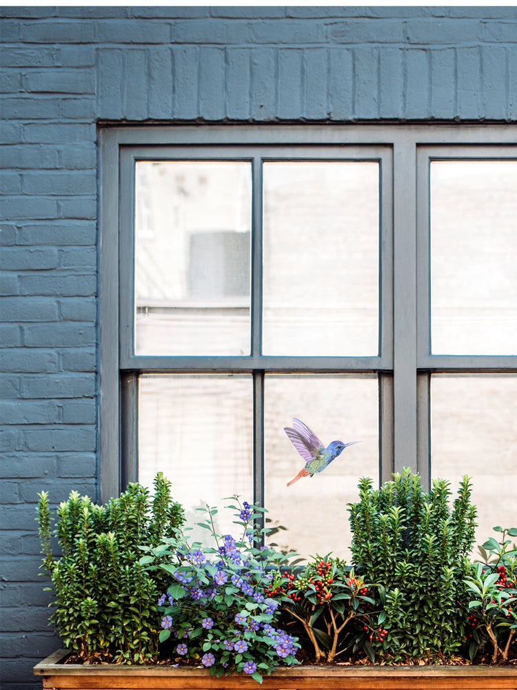Joanie & Jeanie - Hummingbird Window Decal