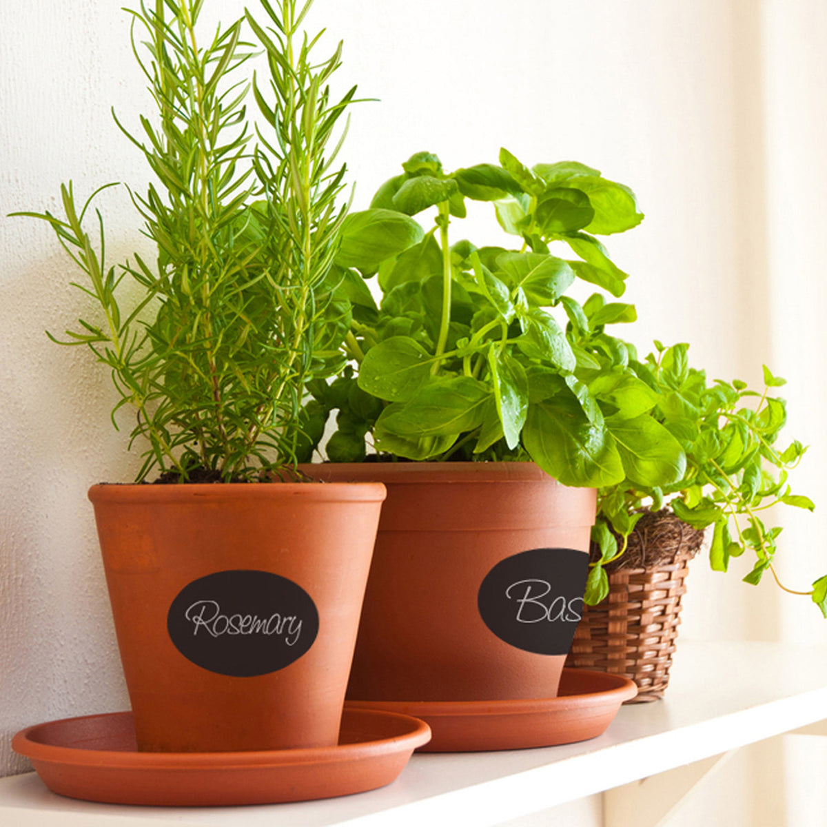 Chalkboard Labels - stickers