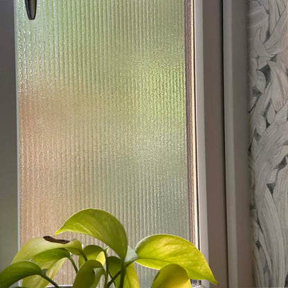 glass window with the reeded window film and a plant in the foreground