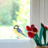 Blue tit Bird perched on a windowsill with red tulips in the foreground