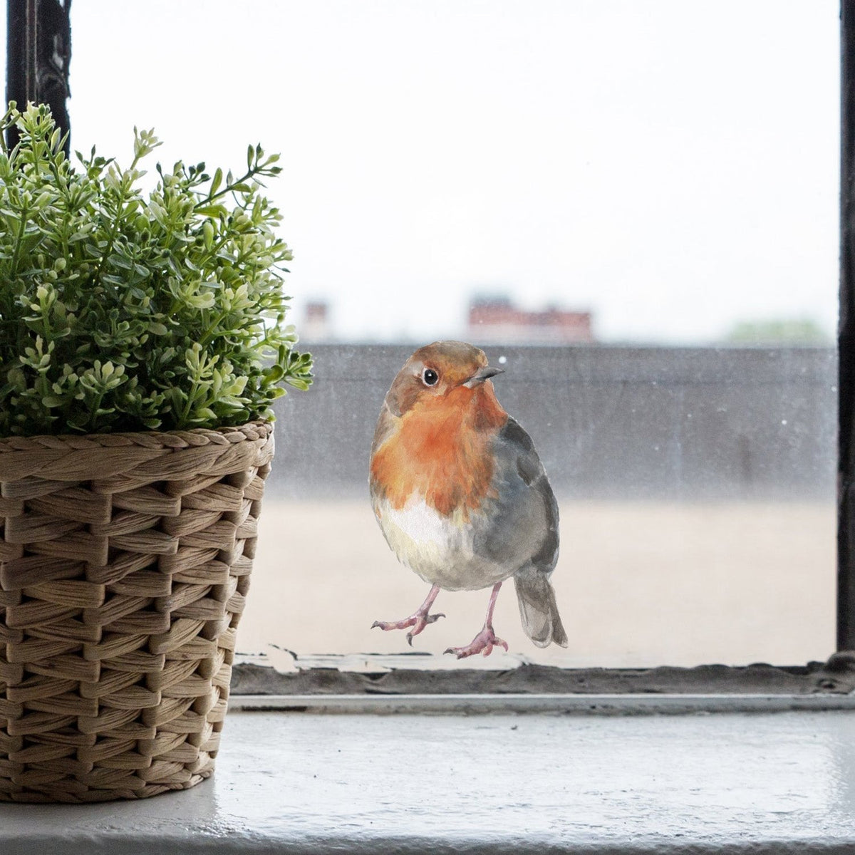 Joanie-&amp;-Jeanie - Little Robin-Window-Sticker
