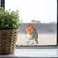 Joanie-&-Jeanie - Robin-Window-Sticker