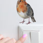 Joanie-&-Jeanie - Little Robin-Wall-Stickers
