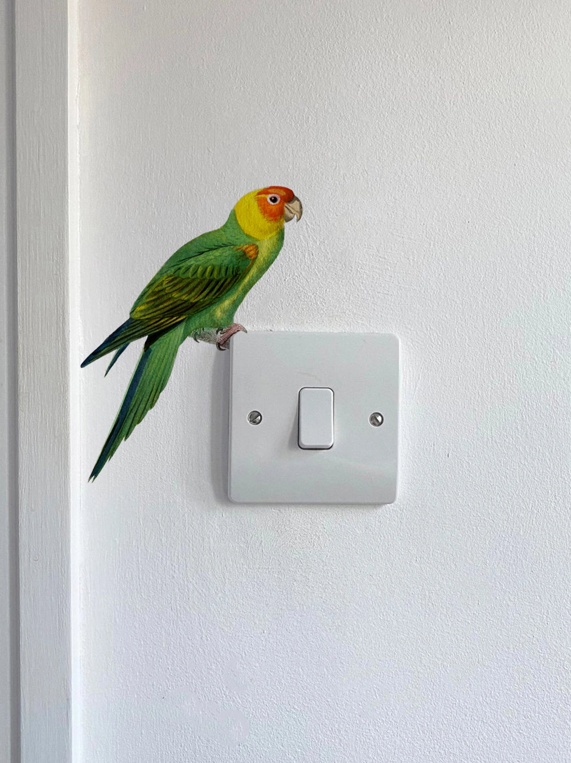 Joanie & Jeanie - Parakeet Light Switch Sticker