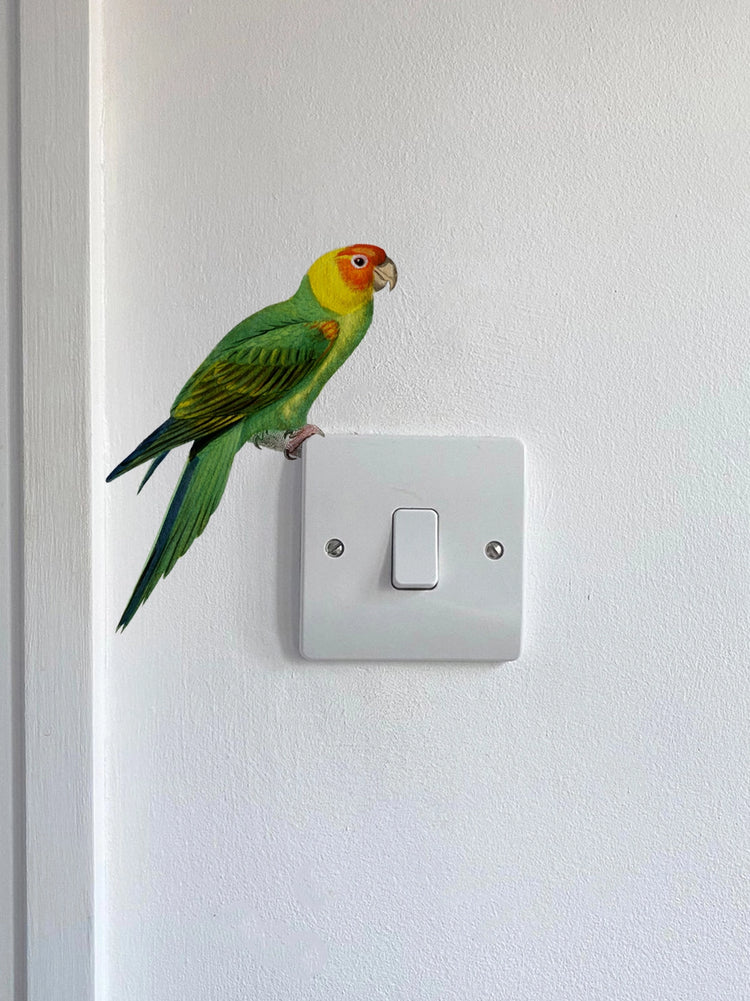 Joanie & Jeanie - Parakeet Light Switch Sticker