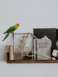 Joanie & Jeanie - Parakeet Wall Decal