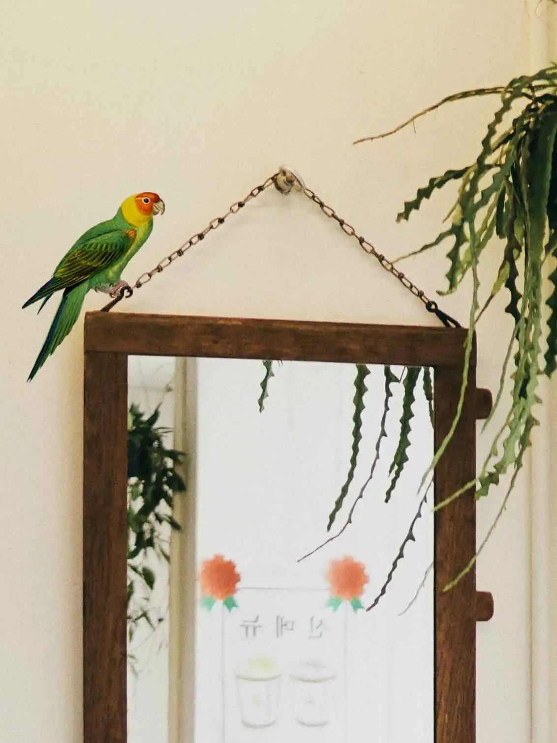 A vinyl wall sticker depicting a green and yellow parakeet perched on a chain, placed above a mirror in a room with plants.