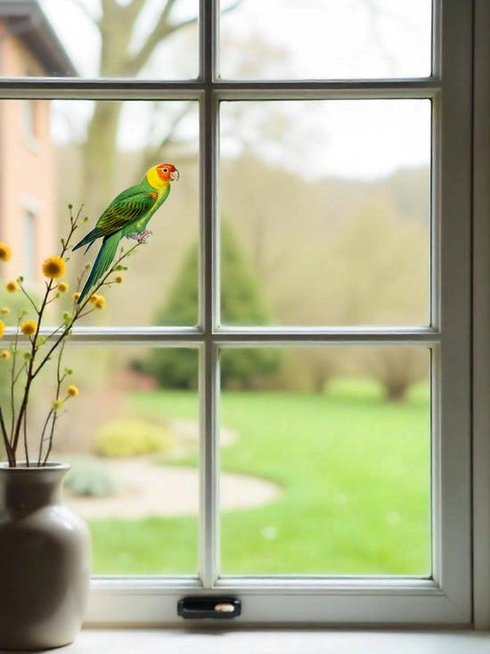 Joanie & Jeanie - Parakeet Window Sticker