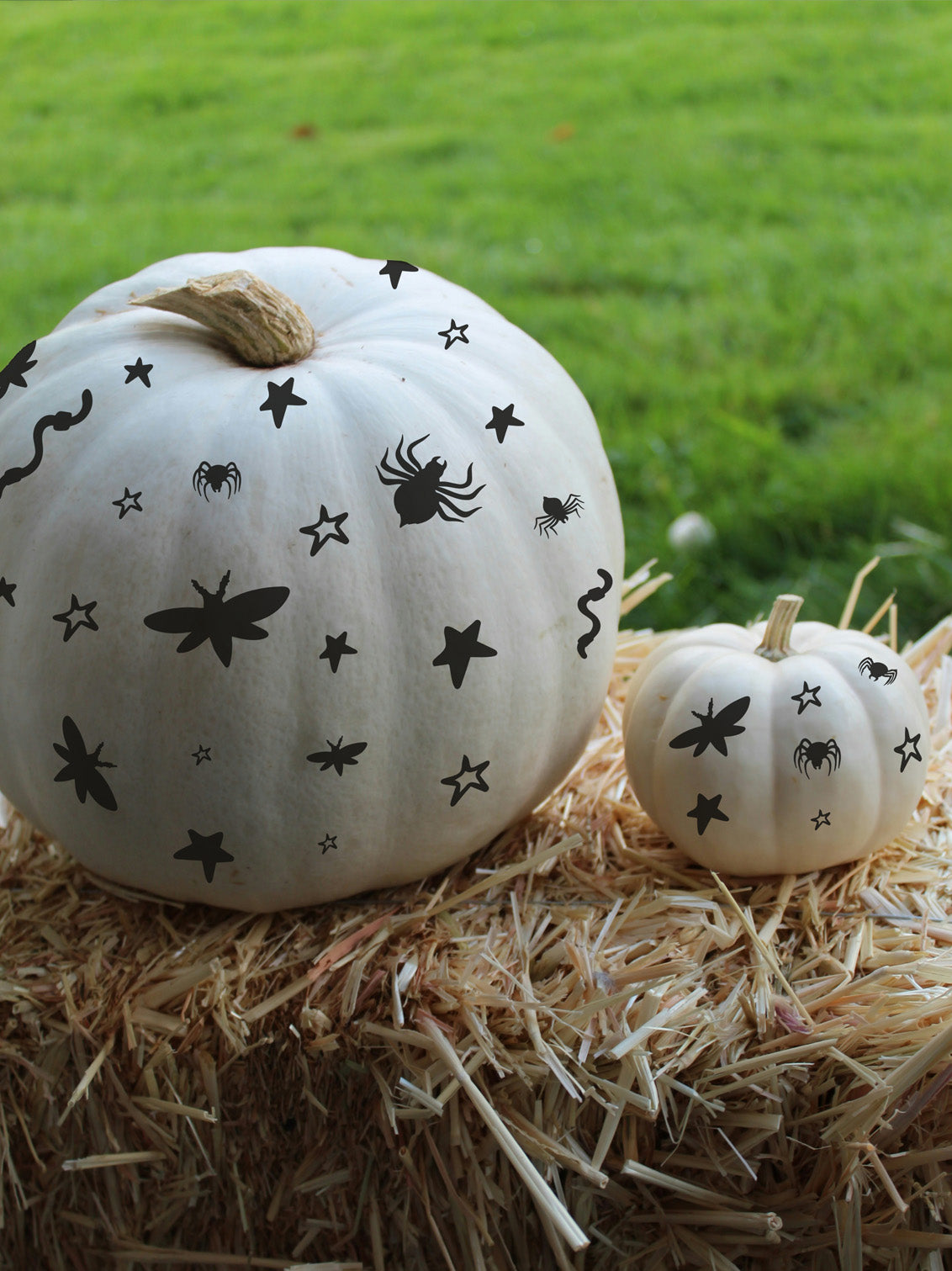 Joanie & Jeanie - Pumkin Sticker Set, White Pumpkin