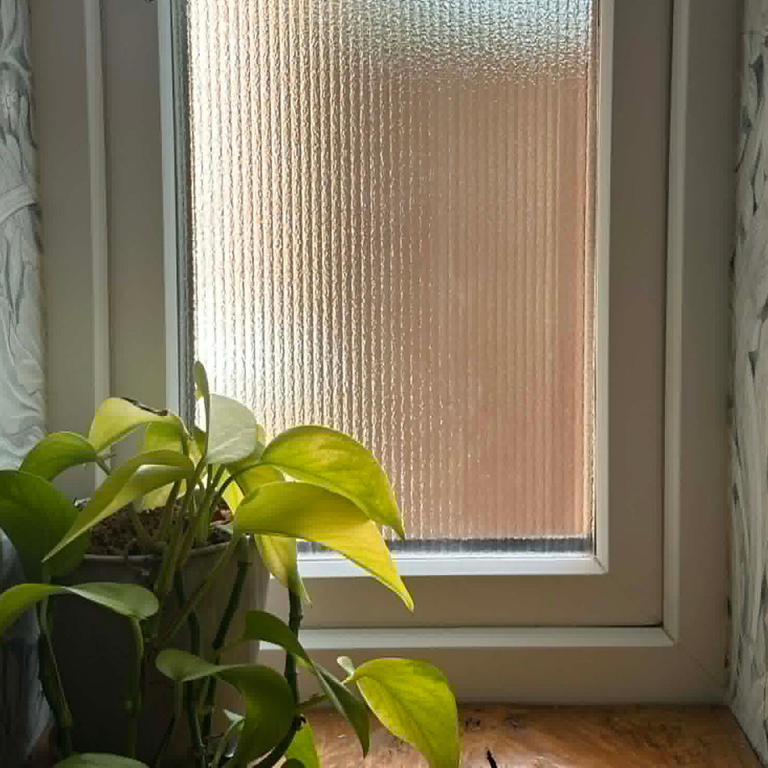 Green plant in front of a window covered with Reeded Window Film