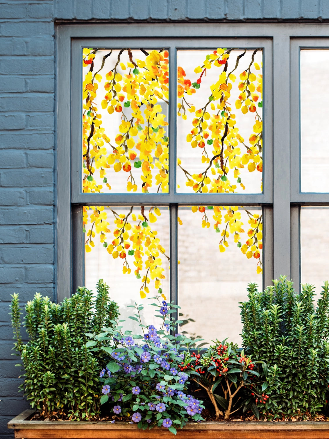 Grey wall with a grey window frame  showing a yellow blossom window cling and plants in a window box.