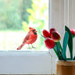 Red cardinal bird perched on a windowsill with tulips in a vase.