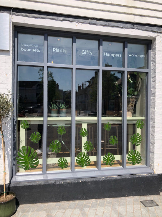 Set of 18 Monstera Leaves Retail Window Graphics