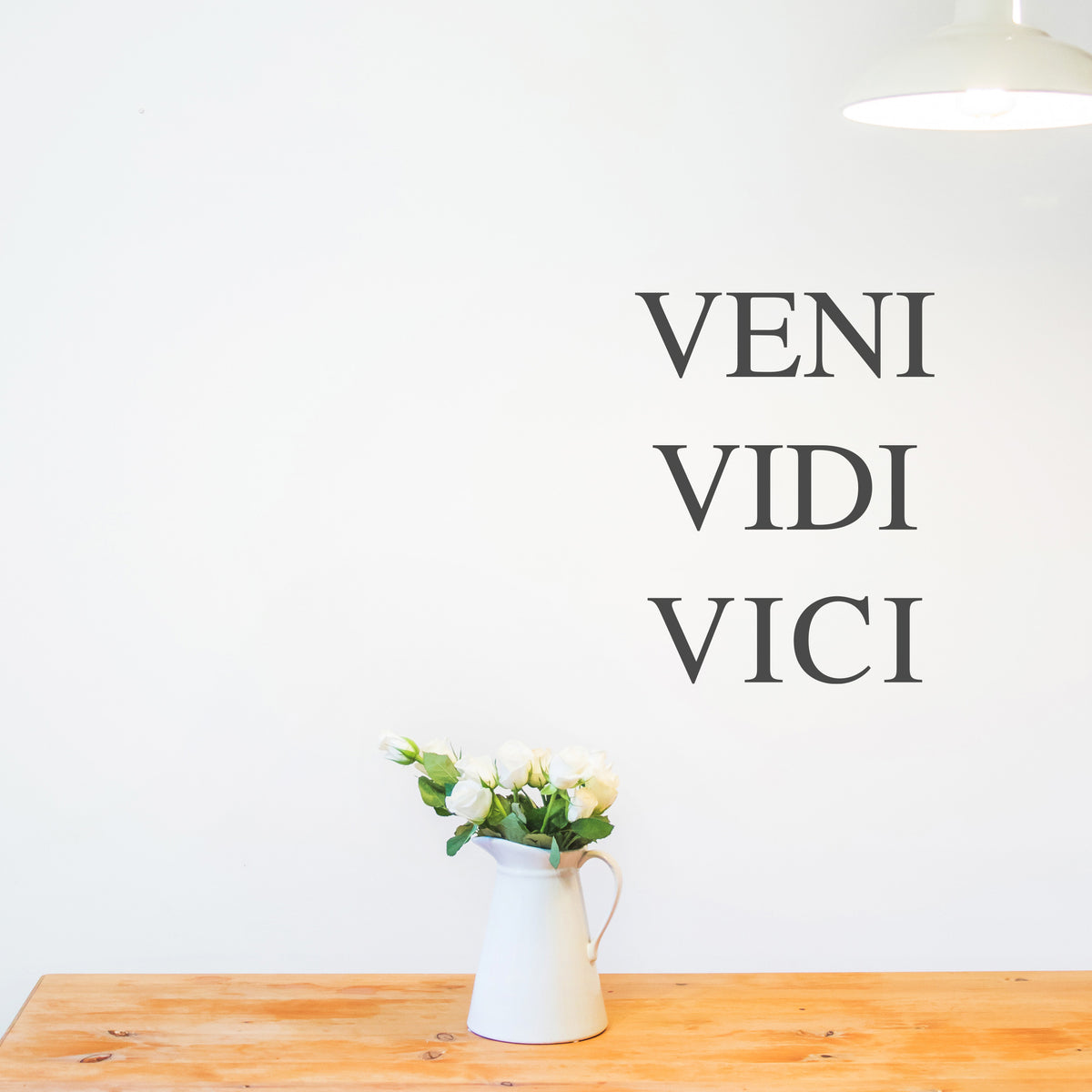 Veni Vidi Vici Latin Quote Wall Sticker